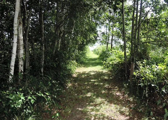 Apartmán With Pool In Ko Czewo